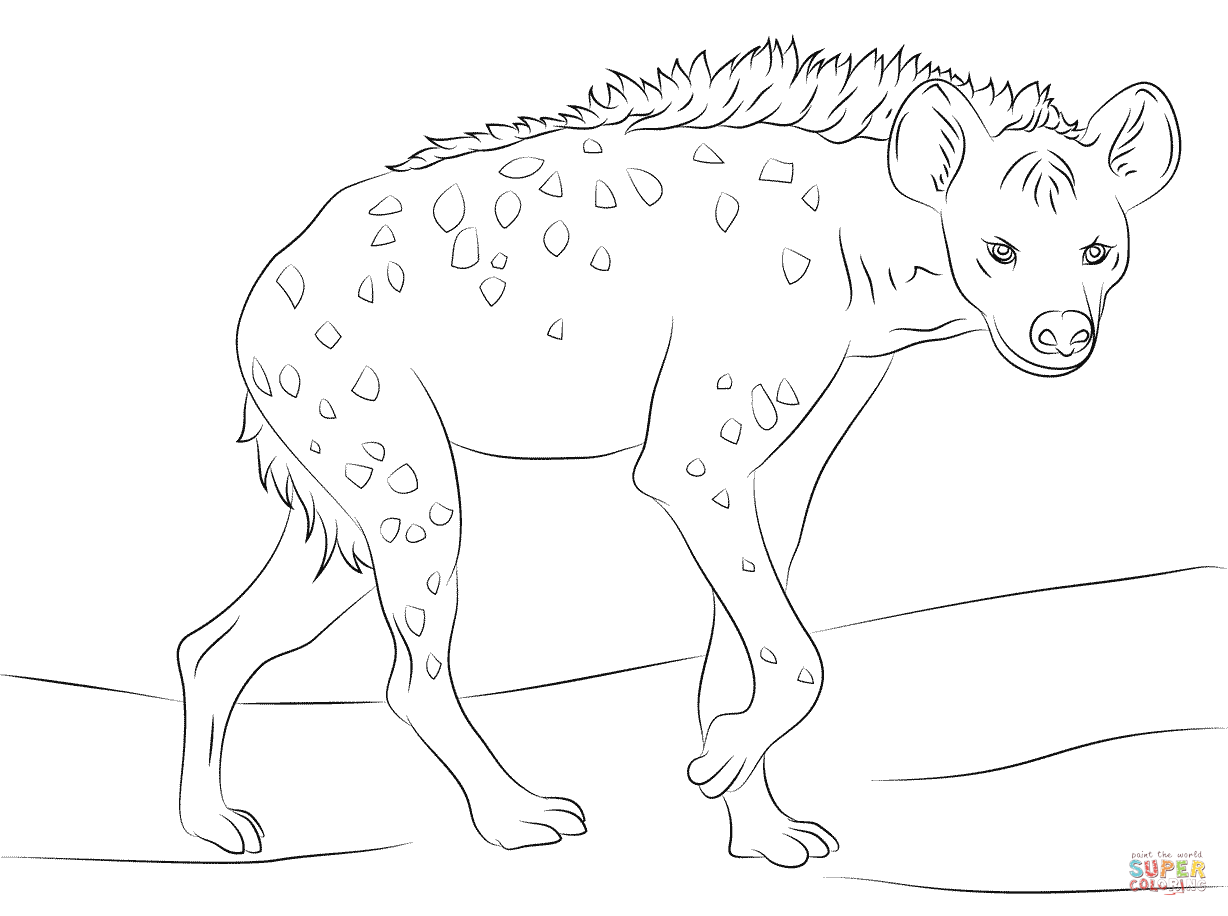 Spotted Hyena coloring page | Free Printable Coloring Pages
