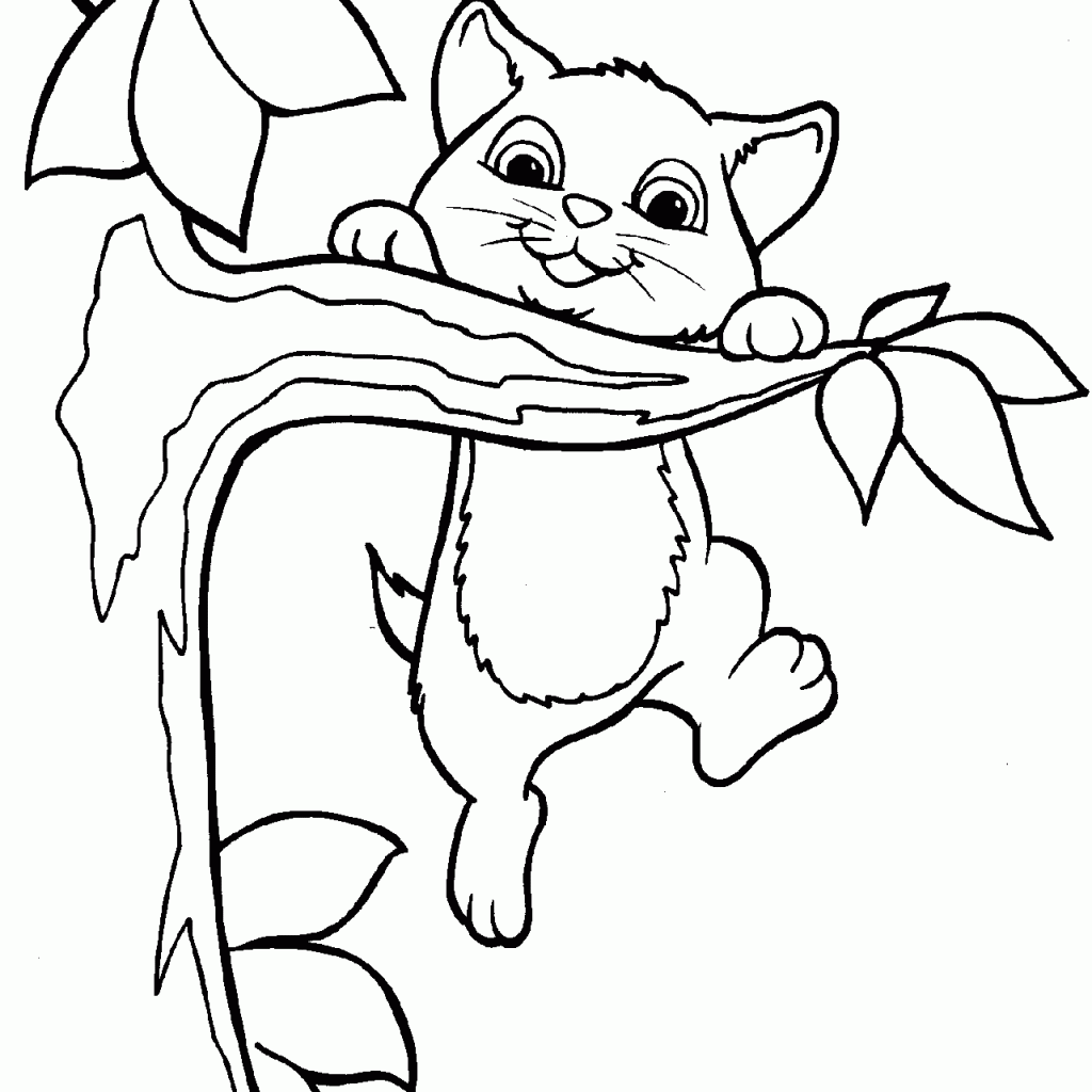 Coloring Pages Of Cat Coloring Home
