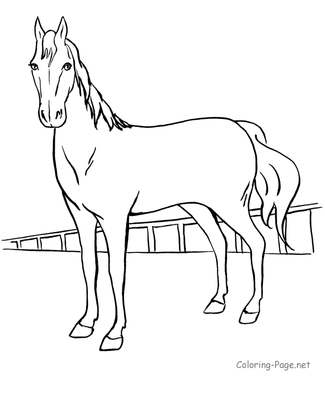 Horse Coloring Page - Race horse