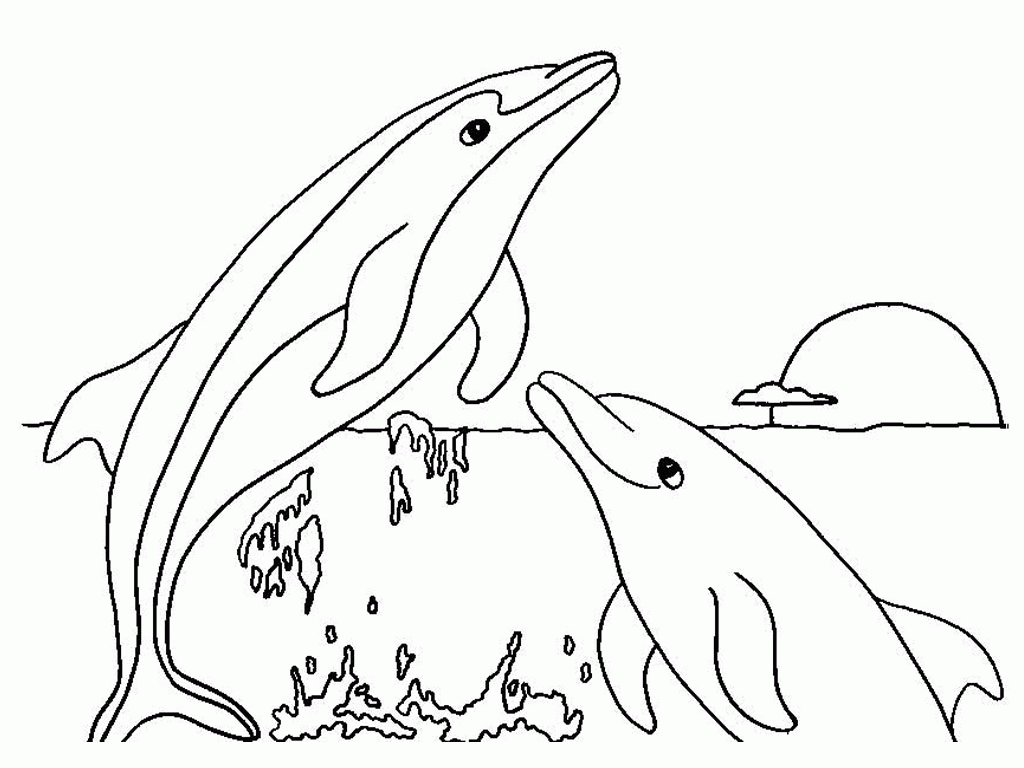 Dolphin Coloring Pages and Book | UniqueColoringPages