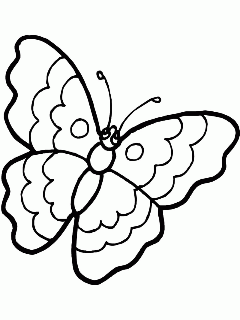 Cute Butterfly Coloring Sheets | Coloring Online - Coloring Home