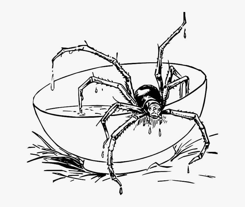 Drawing, Cartoon, Spider, Web, Dot, Draw, Com, Fun - Scary Spider ...