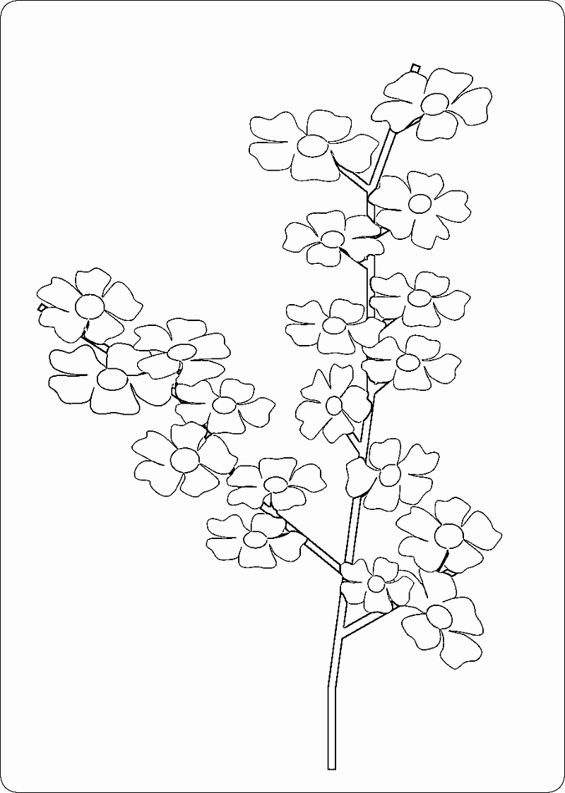 Cherry Blossom Coloring Page Best Of Japanese Traditions and ...