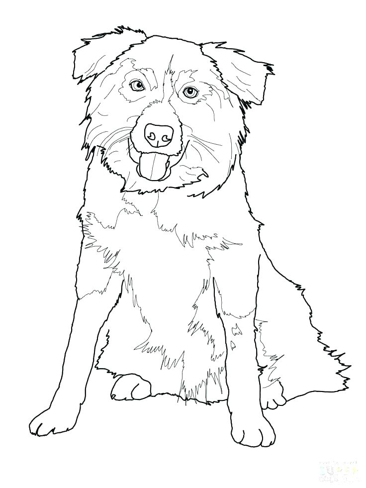 German Shepherd Puppy Coloring Pages at GetDrawings.com ...