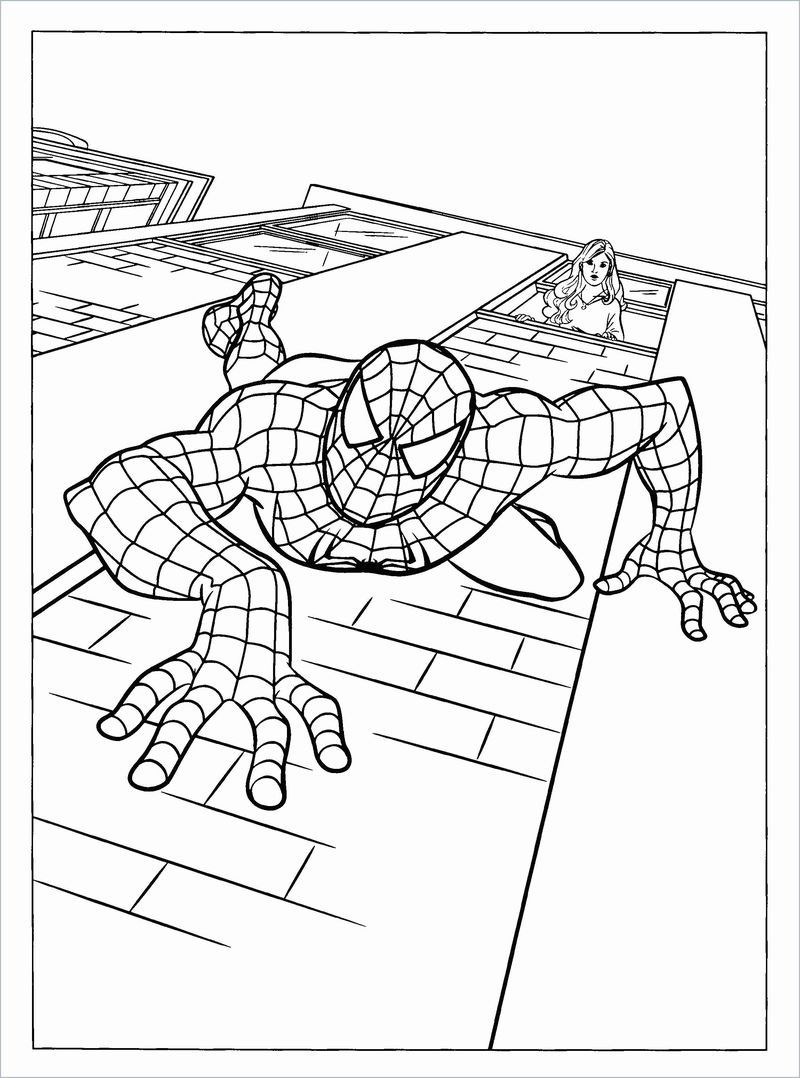 Spiderman Coloring Pages Ps4 in 2020 | Spiderman coloring, Superman coloring  pages, Superhero coloring pages