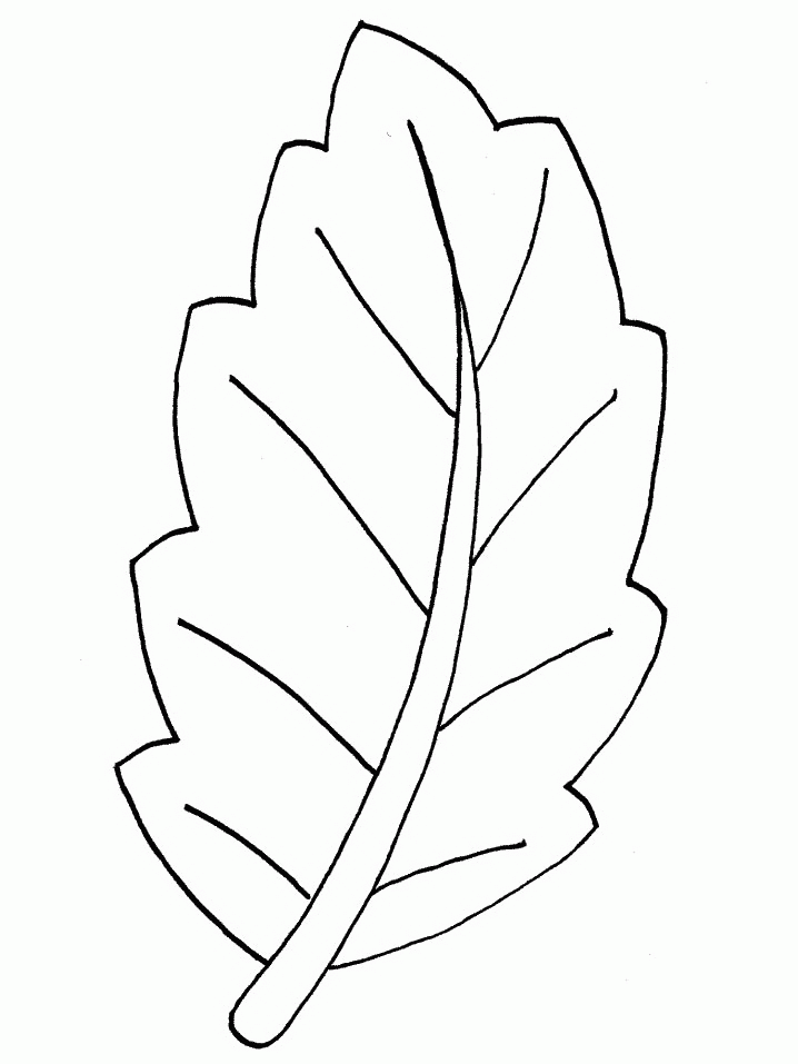 Palm Branch Coloring Page - Coloring Home