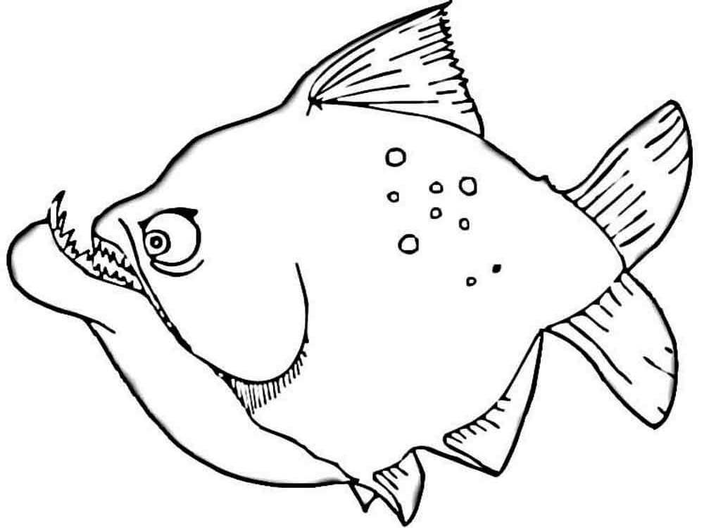 Piranha Coloring Page - Coloring Home