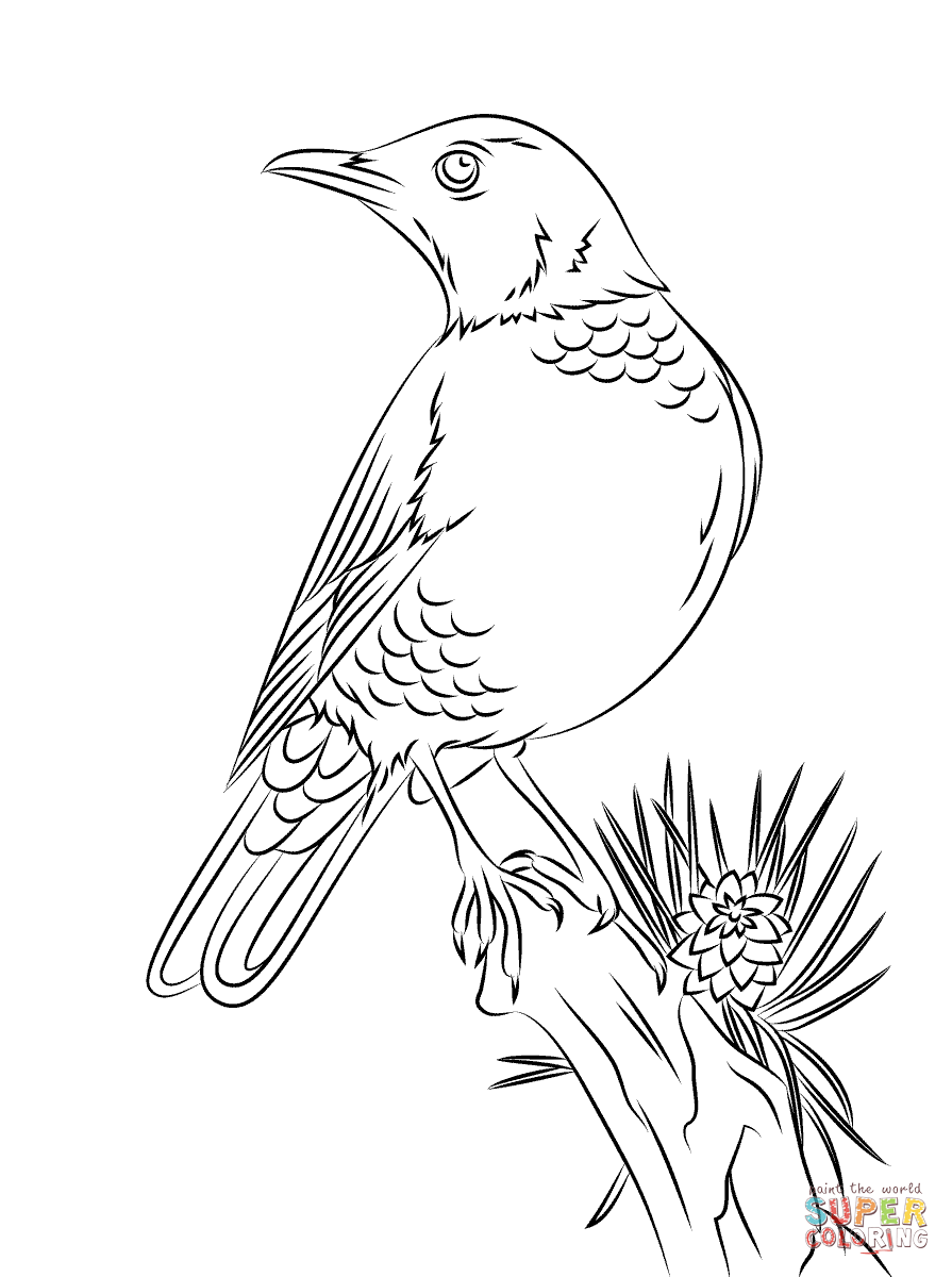 Robins coloring pages | Free Coloring Pages