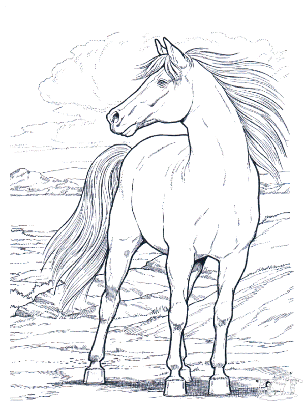 Free Printable Horse Coloring Pages For Kids Horse Coloring Pages ...