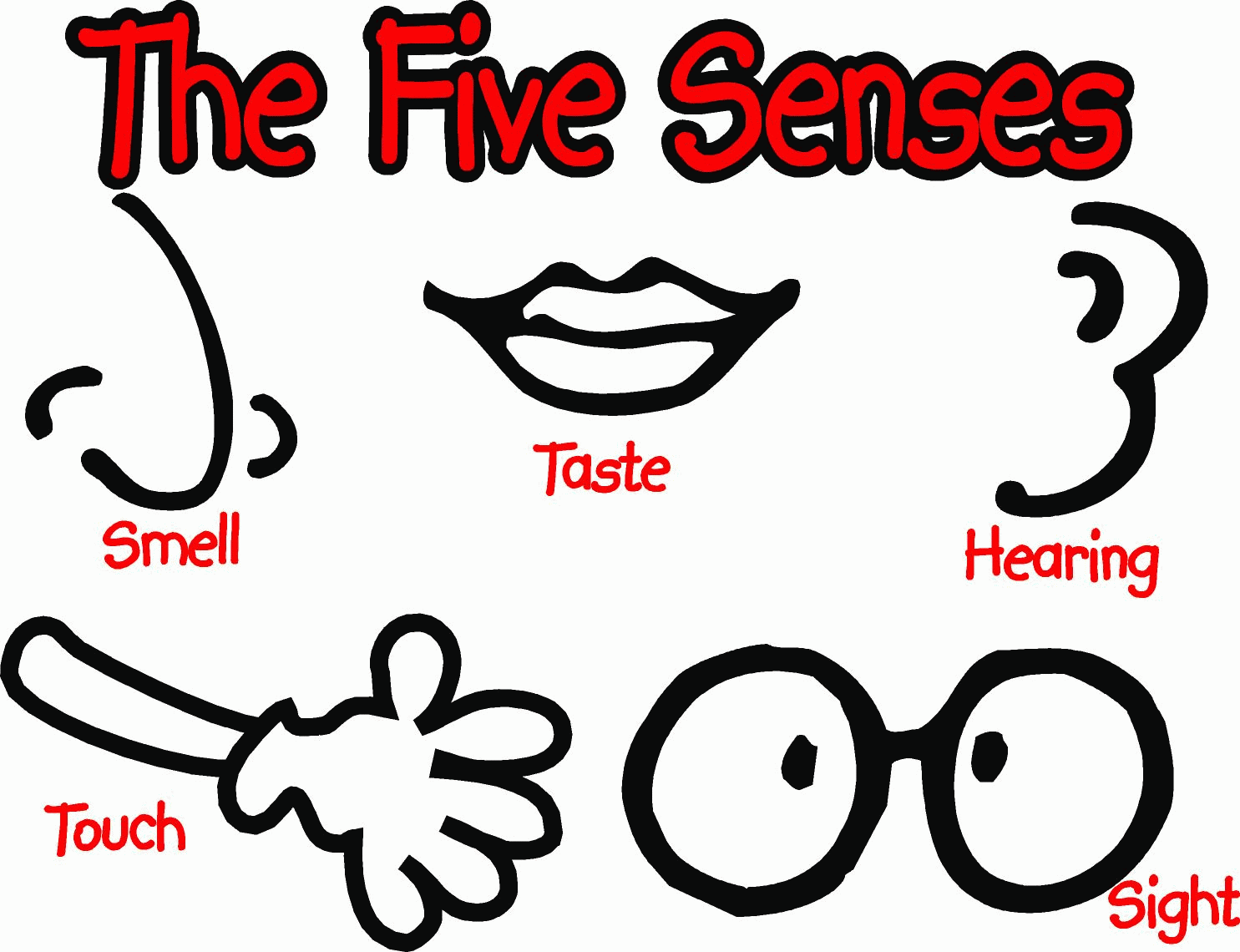 Five Senses Kindergarten Nana 24395 5 Senses Coloring