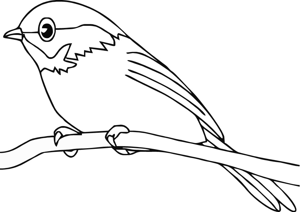 coloring pages for baby brids : Printable Coloring Sheet ~ Anbu 