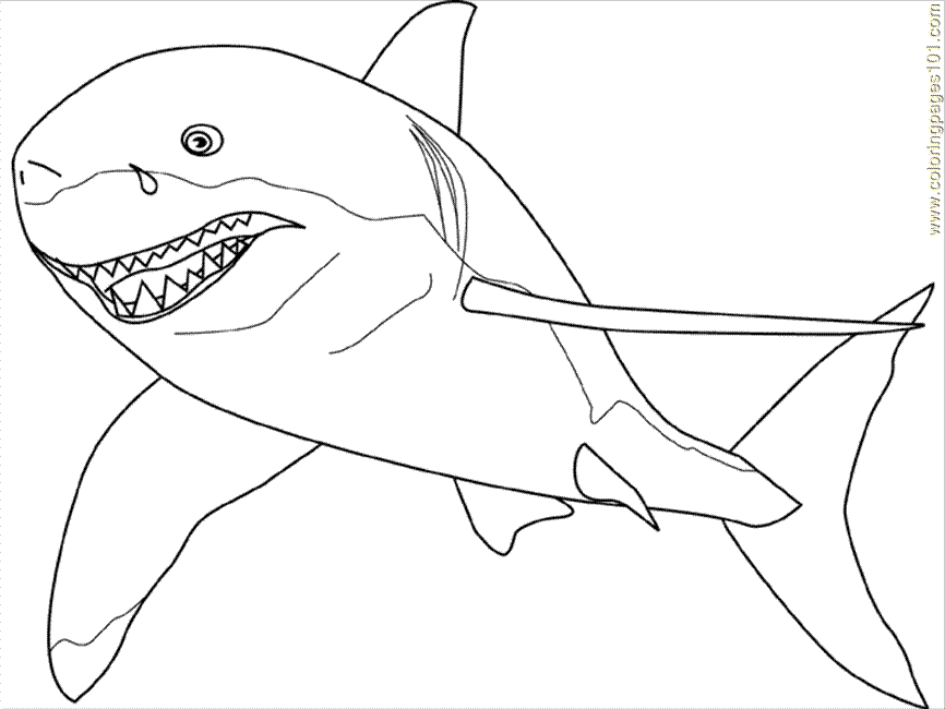 great-white-shark-coloring-pages-coloring-home