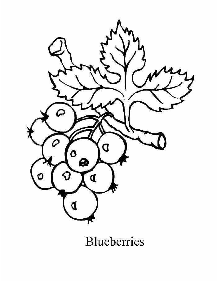 Blueberries Colouring Pages