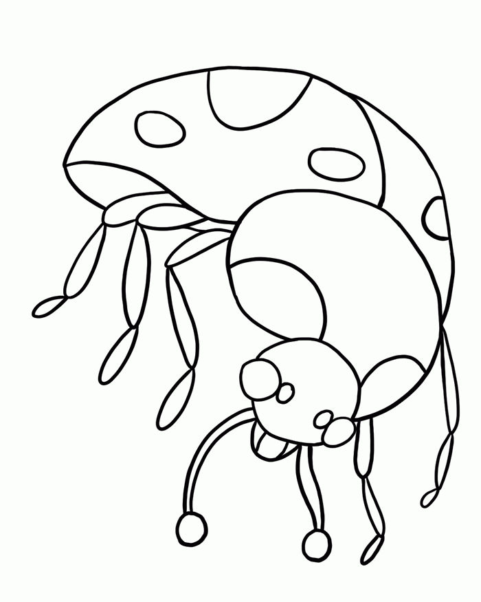 chicome Colouring Pages