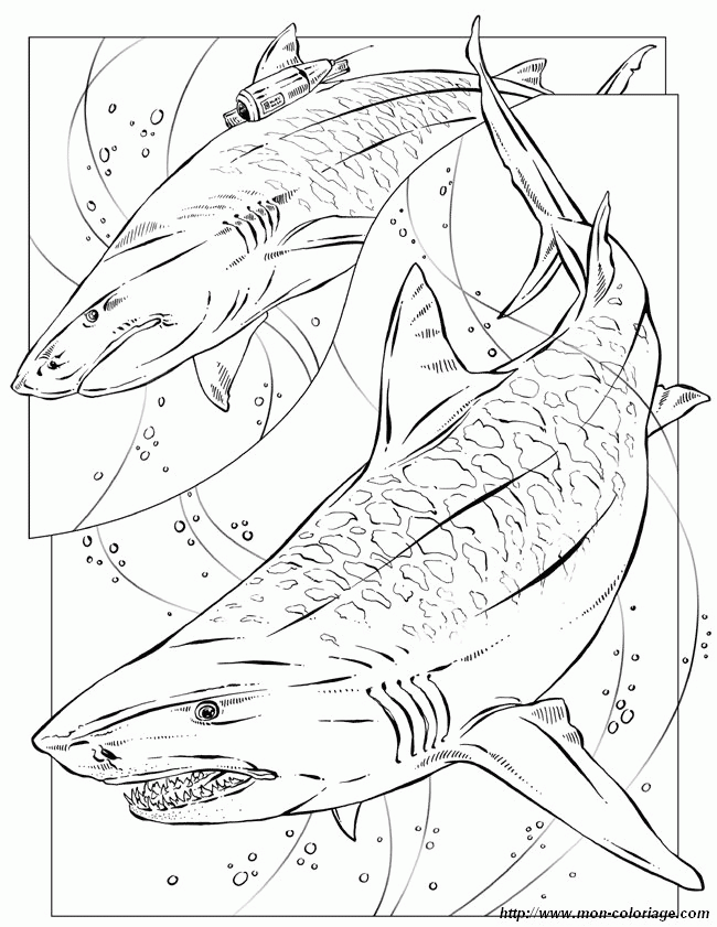 Megalodon Coloring Pages Coloring Home