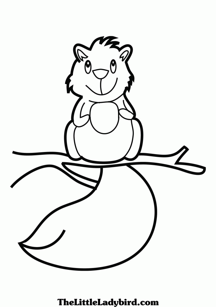 Cute Squirrel Coloring Pages - Coloring Home