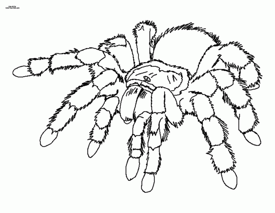 High Resolution 3300x2550 Spiderman Printable Coloring Pages For 