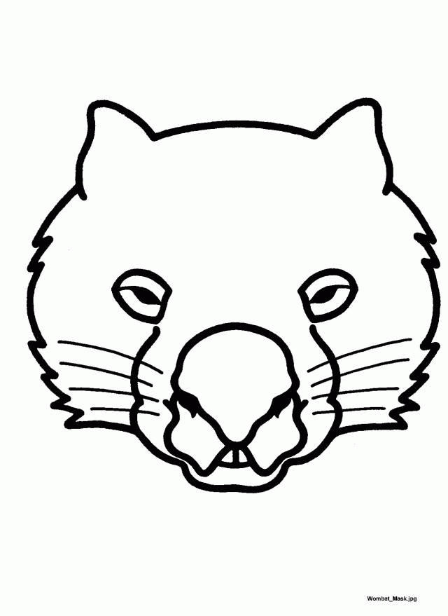 Australian Picture Books August 2011 206277 Wombat Coloring Page