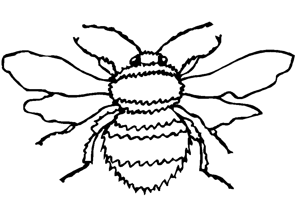 bumble-bee-coloring-pages-for-kids-coloring-home