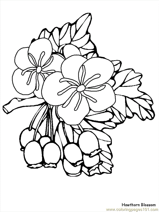 more printable monkeys coloring pages and sheets can be found 