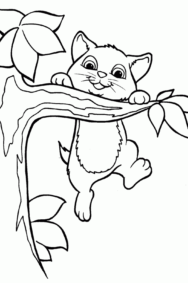 Cute Cat Coloring Pages Coloring Home