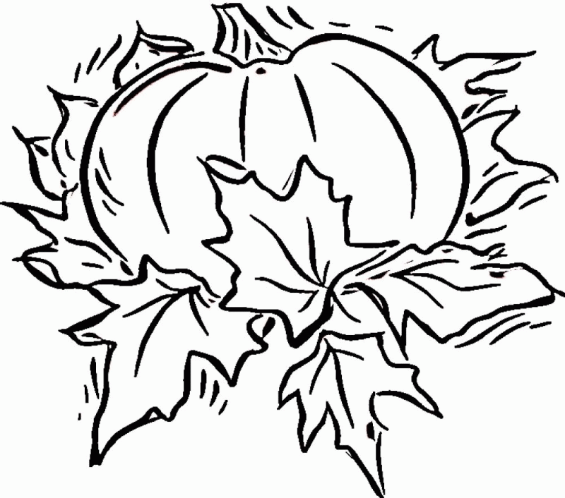 coloring-page-pumpkin-166827-objects-printable-coloring-pages