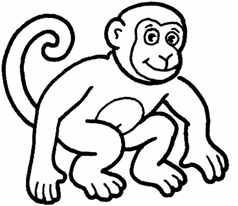 5 cute baby monkeys Colouring Pages (page 3)