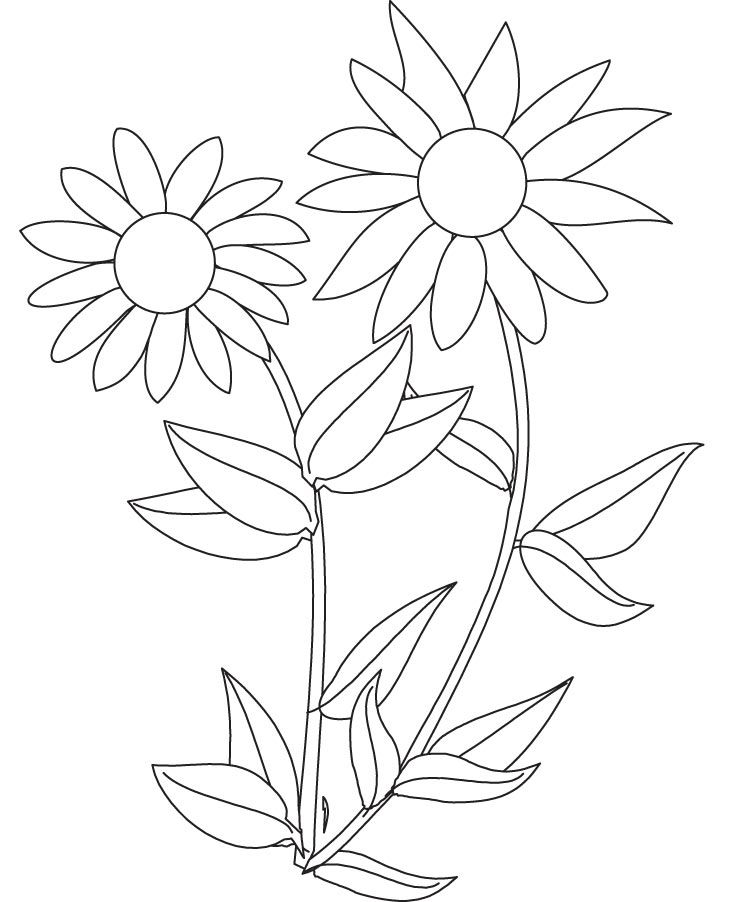 Sunflower coloring page | Download Free Sunflower coloring page 