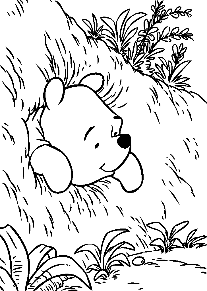Pooh Bear Colouring Pages (page 2)