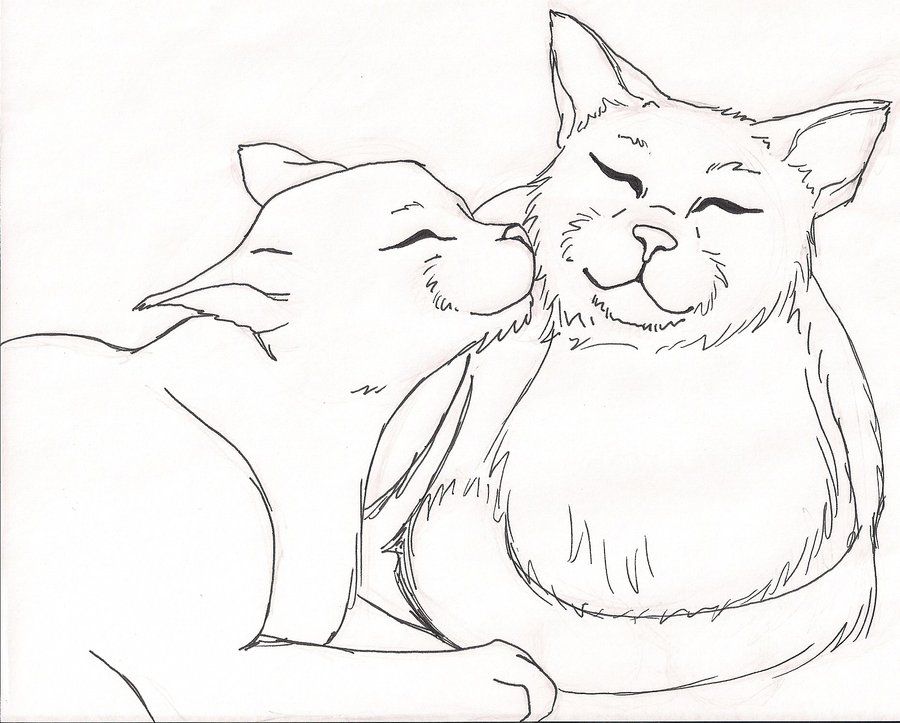 Warrior Cat Coloring Pages - Coloring Home