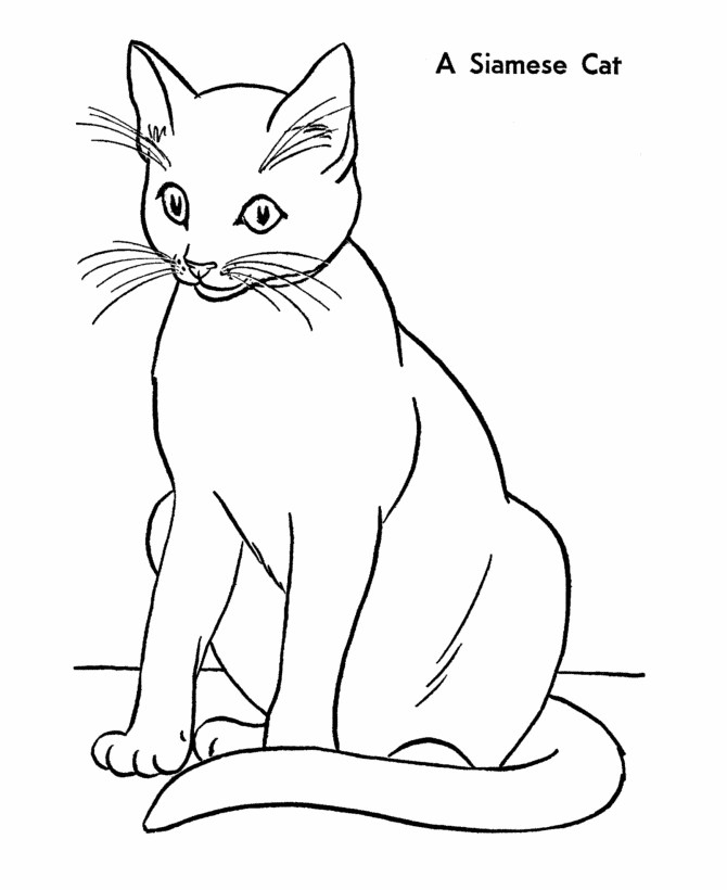 Cat Coloring page | Siamese Cat | Embroidery