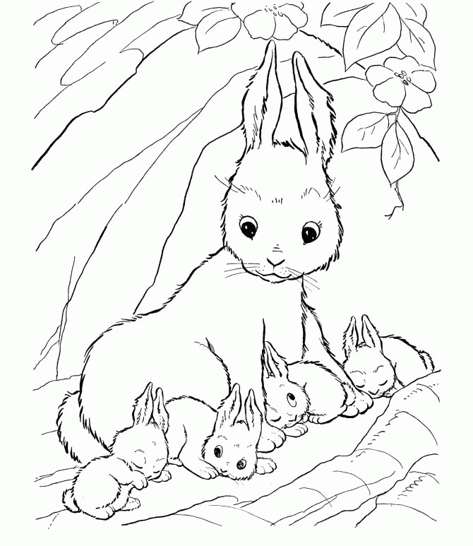Bunny With Carrot Coloring Page - Coloring Home