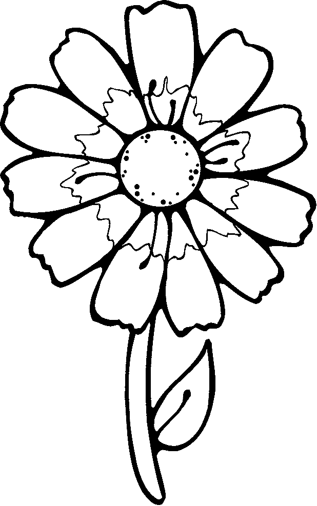 Free Flower Petals Coloring Pages Coloring Home