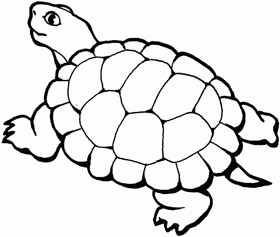 Yertle The Turtle Coloring Pages 5 | Free Printable Coloring Pages