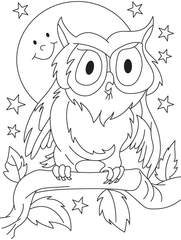 opossum coloring page animals town color sheet