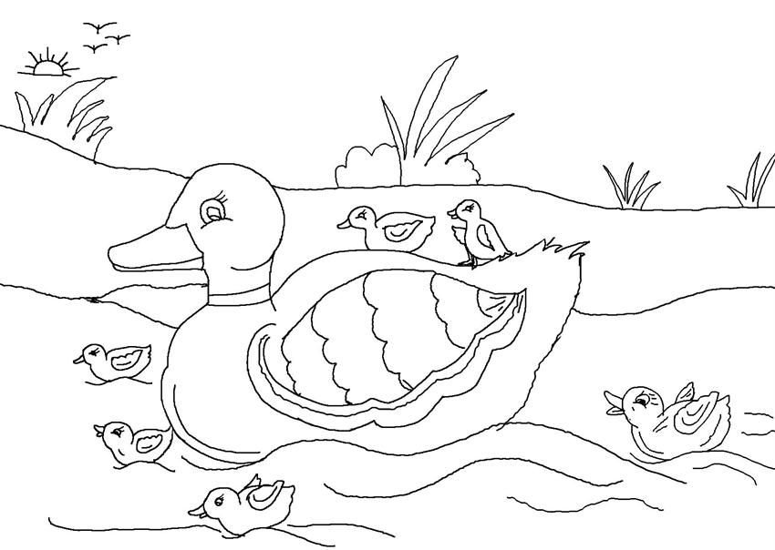 ugly duckling Colouring Pages (page 2)