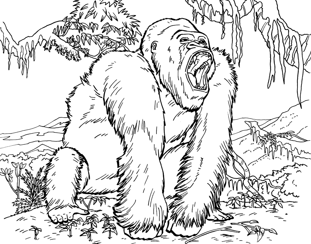 4 Gorilla Coloring Page | Free Coloring Page Site