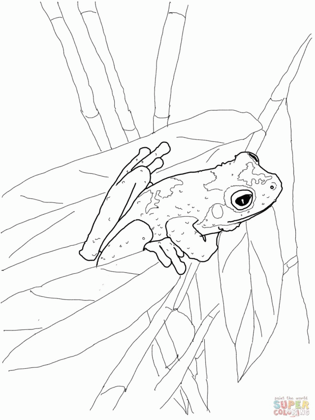 tree-frog-coloring-pages-coloring-home
