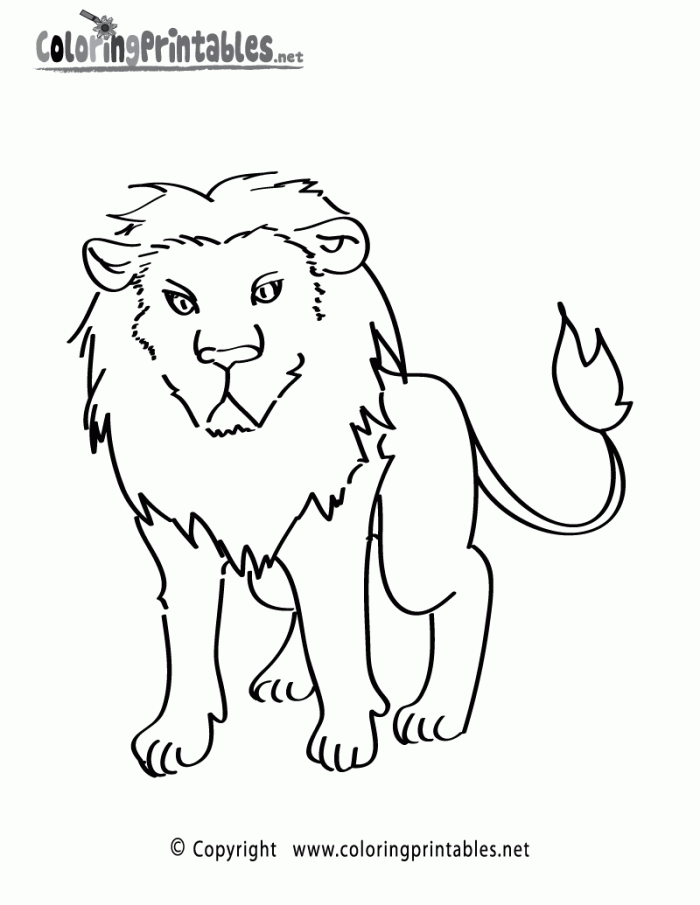 Circus Lion Coloring Pages Kids