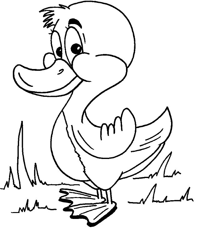 donald duck coloring pages duck coloring pages | Inspire Kids
