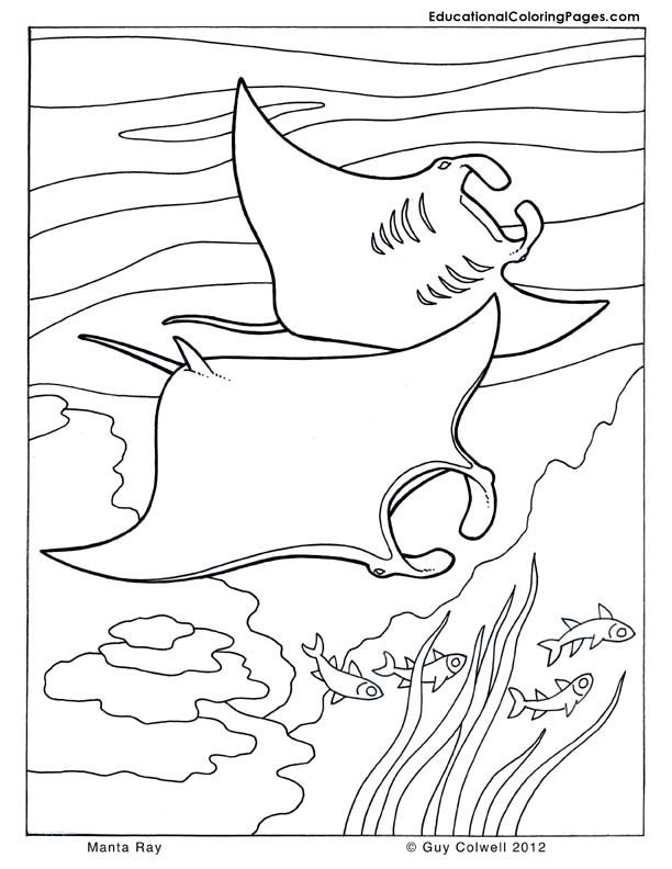 ocean animals coloring | Animal Coloring Pages for Kids