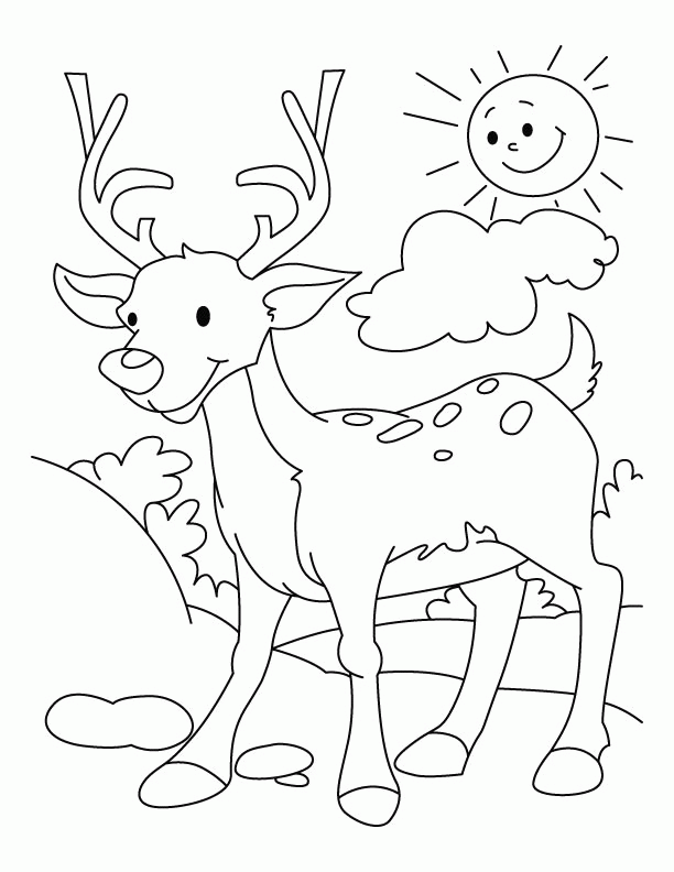 Deer Hunting Coloring Pages For Kids Images & Pictures - Becuo