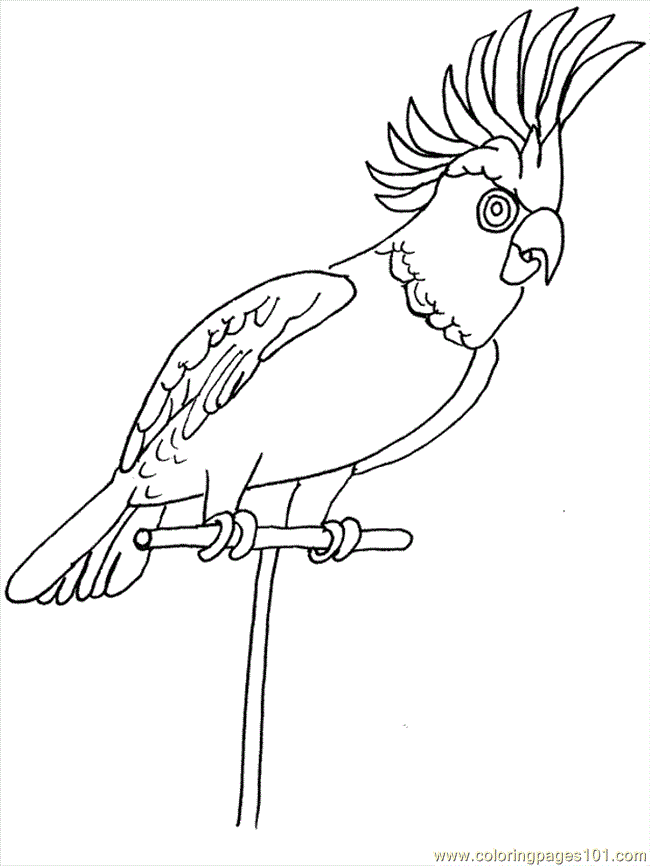 Tropical Birds Coloring Pages Coloring Home