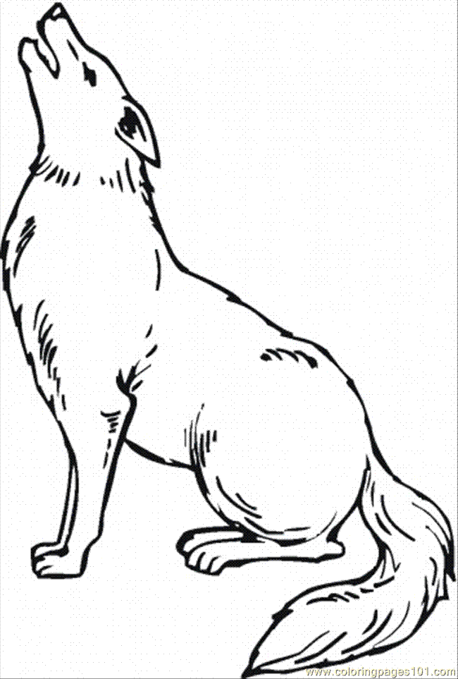 coyote-coloring-page-10Free coloring pages for kids | Free 