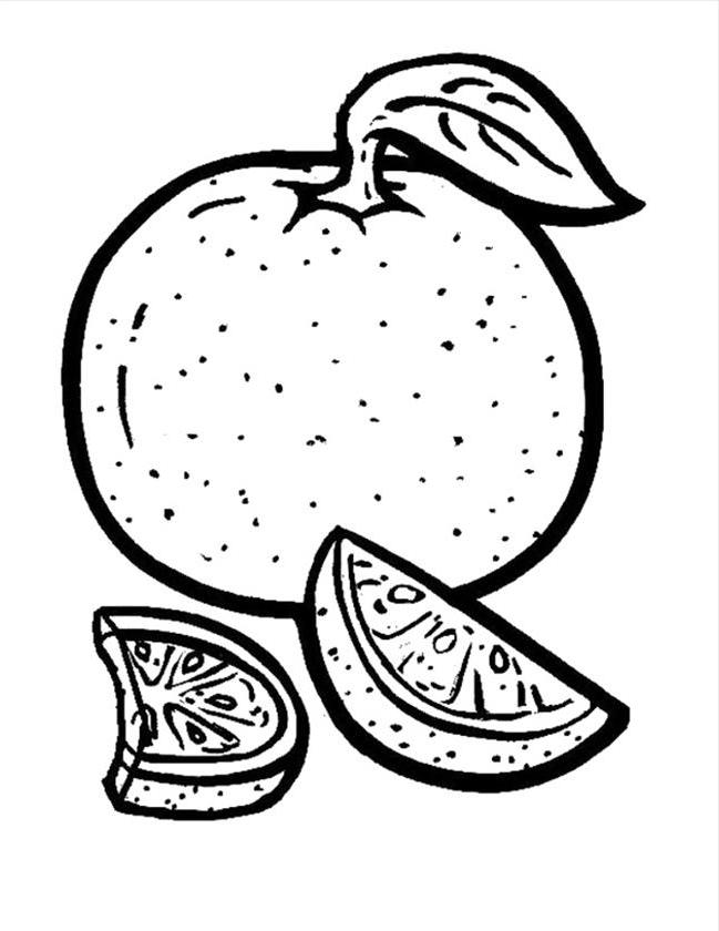 Orange Fruits Coloring Pages - Food Coloring Pages : IKids - Coloring Home