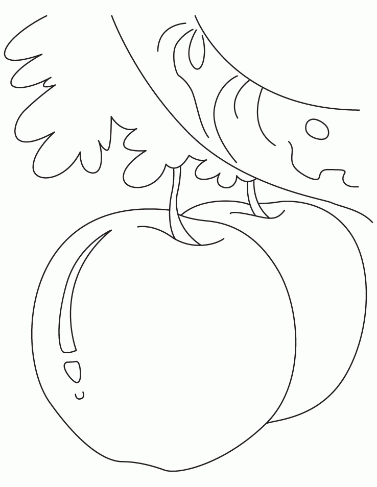 apple-coloring-pages-coloring-home