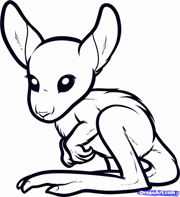 Baby Kangaroo Coloring Pages For Kids | 99coloring.com