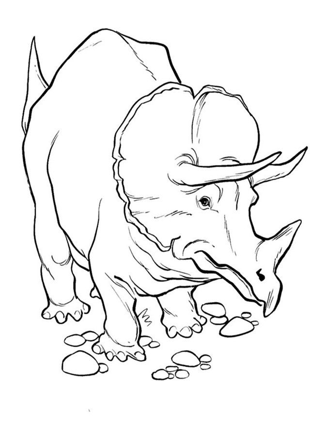 Dinosaur Coloring Book - Applications Android et Tests - AndroidPIT