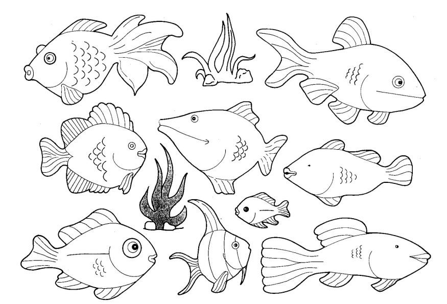 Coloring Pages Saltwater Fish Printable Sheet Anbu