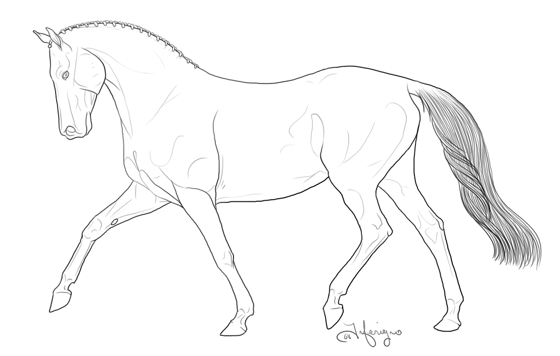 Breyer Horse Coloring Pages - Coloring Home